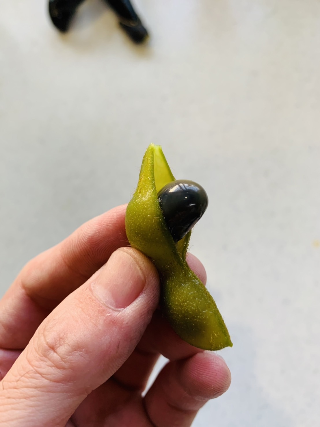 記事 筑前町の自慢食材を知っていますか？のアイキャッチ画像