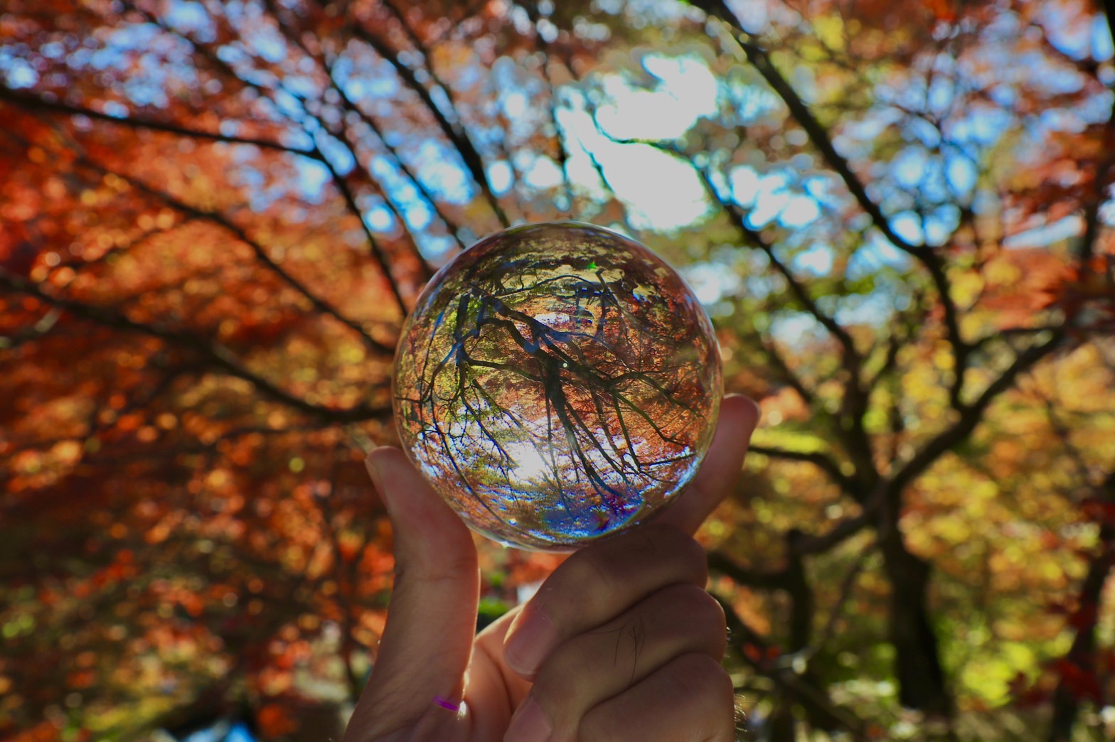 記事 私達は患者様に、こんな想いを持って仕事をしています。のアイキャッチ画像