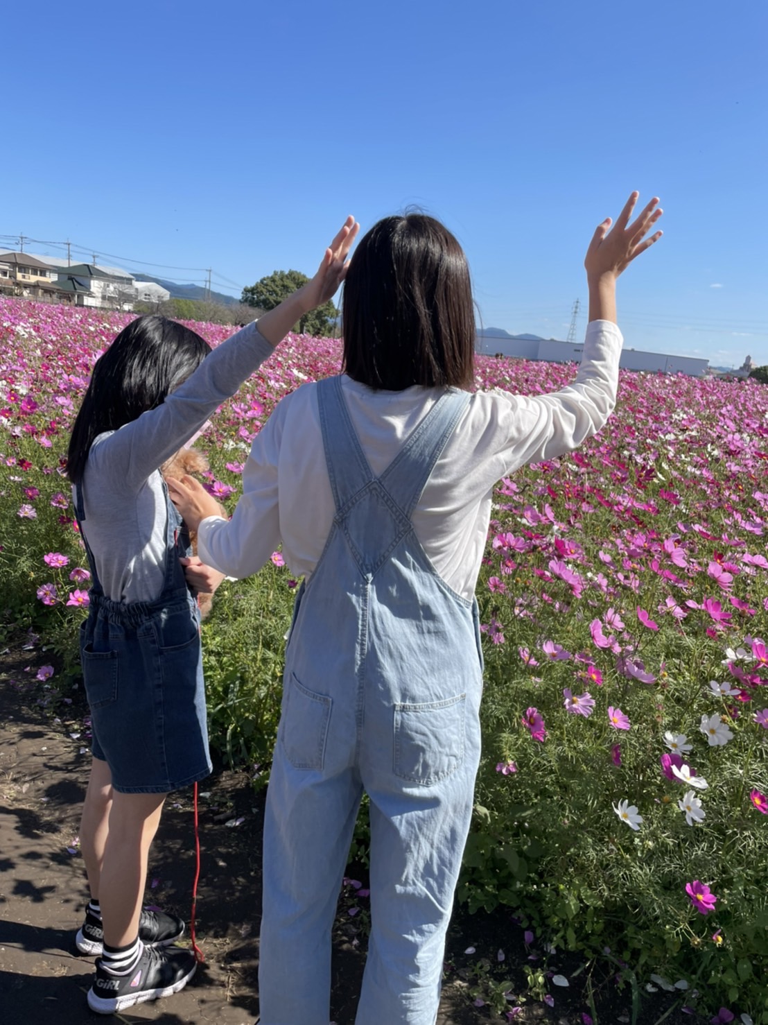 記事 日光に当たると骨が作られますよ！さあ浴びましょう！！のアイキャッチ画像